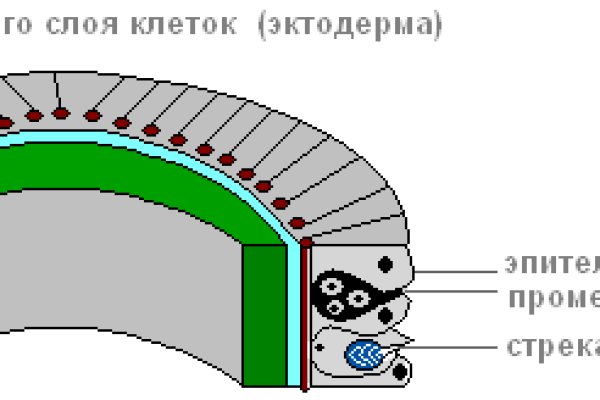 Даркнет площадки