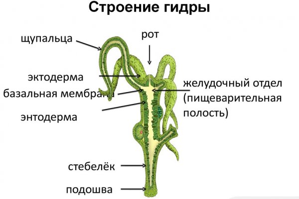 Кракен даркент