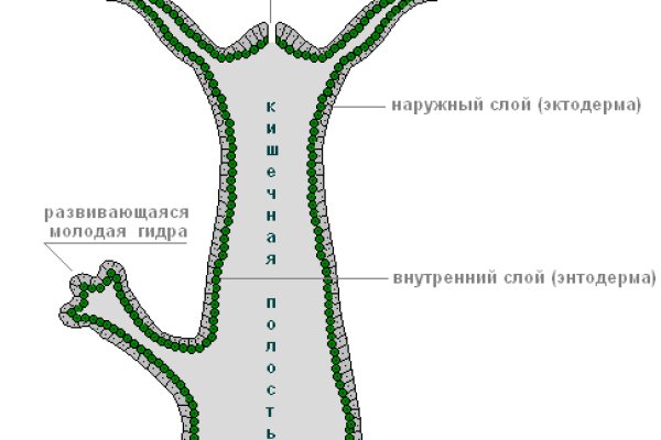 2krn at krakendark link